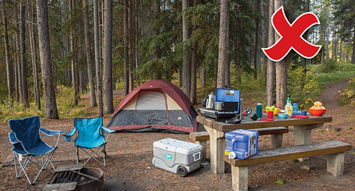 Not clean campsite. A cooler, camping stove and large water jug are visible on the picnic table. Many food items and scented items are left out on the picnic table. No people are visible.