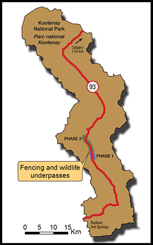 Map of fencing and wildlife underpasses on Highway 93 South