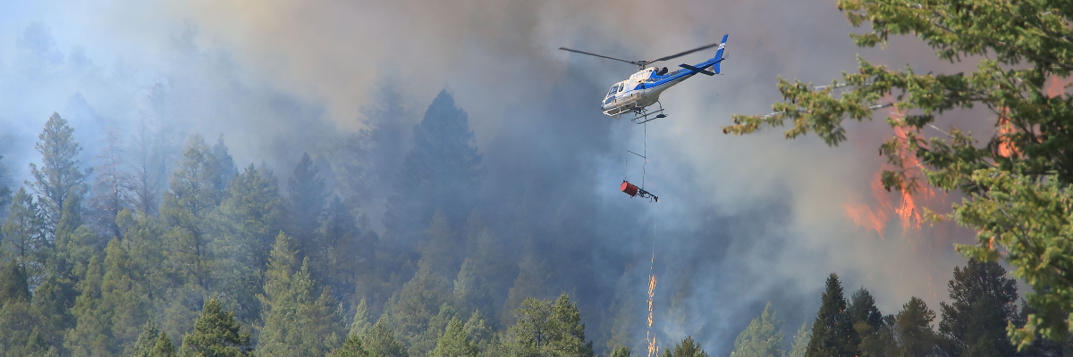 A helicopter putting out a wildfire