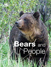 Bears and People
