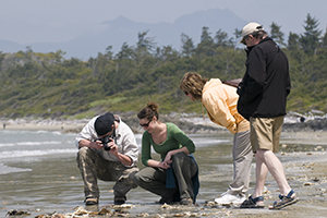 Visitors on Combers beach