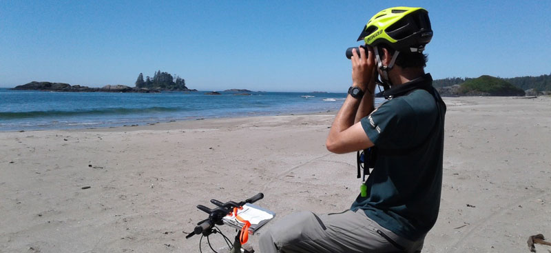 Parks Canada employee on bicycle looking through binoculars at the distant beach and ocean
