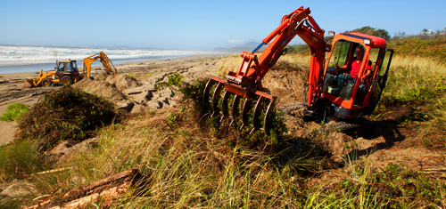 Sand dune restoration