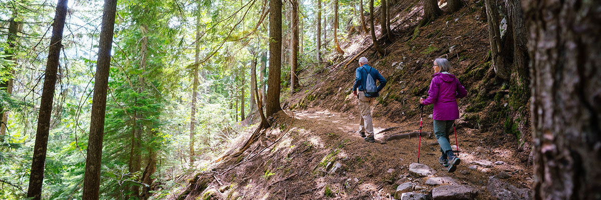 Two hikers on a wooded trail