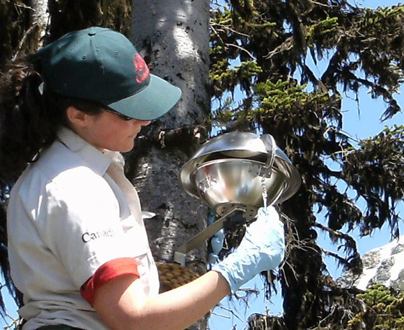 Using passive air samplers to help identify the source of DDT in alpine lakes