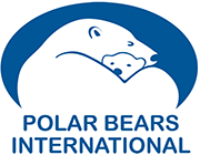 An illustration inside a blue oval of an adult polar bear with its back to the viewer curled around with its head facing right. A polar bear cub’s head is peeking out from behind the adult’s body. Below, there is blue text saying Polar Bears International.