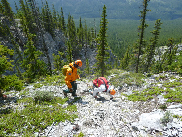 A Visitor Safety Specialist short ropes one of the subjects to a spot where they could be slung off to the staging area. All Visitor Safety Specialist are certified Mountain Guides with the Association of Canadian Mountain Guides. Short roping is a technique crucial to Mountain Guiding and rescue work within the Mountain National Parks.