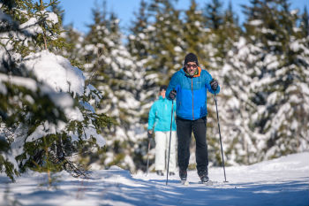 A couple skiing in the woods.