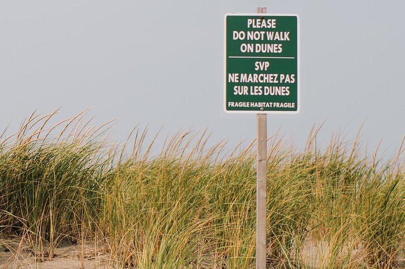 A sign on a dune says Please do not walk on dunes