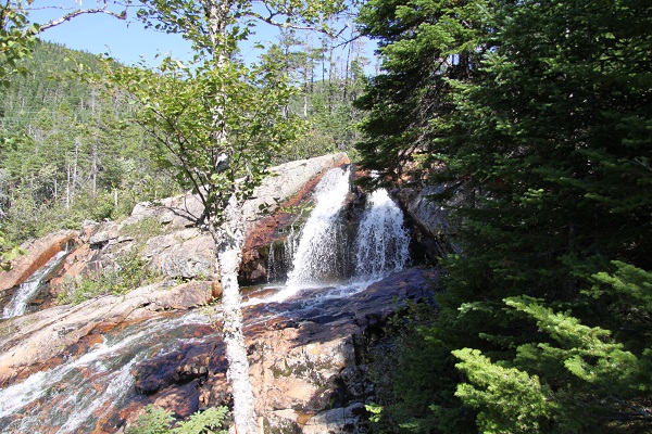 Southeast Brook Falls Trail