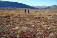 Hikers and Tundra Vegetation