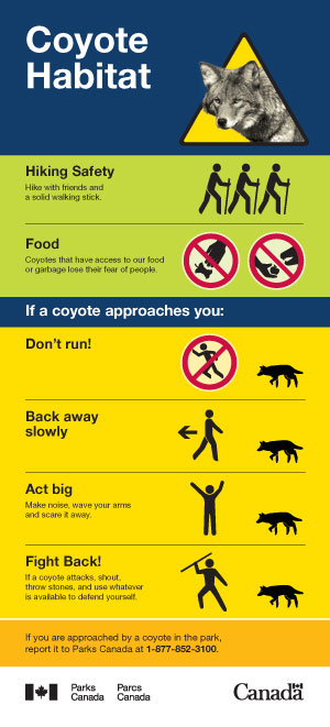 Coyote Habitat brochure