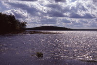 View of Kejimkujik Lake showing drumlin