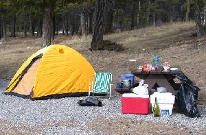 A campsite with food items left unattended