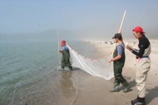 Preparing to sein net fish at Oiseau Bay