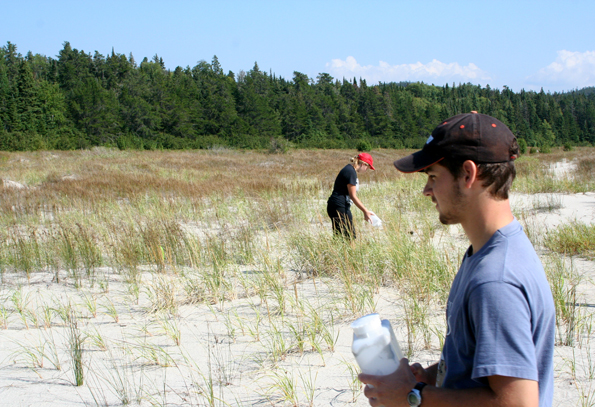 Lakehead University students sowing Pitcher's Thistle seeds at Oiseau Creek site in 2013