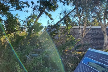 Several trees fell on and around the visitor centre at Skmaqn – Port-la—Joye – Fort Amherst National Historic Site during post-tropical storm Fiona.