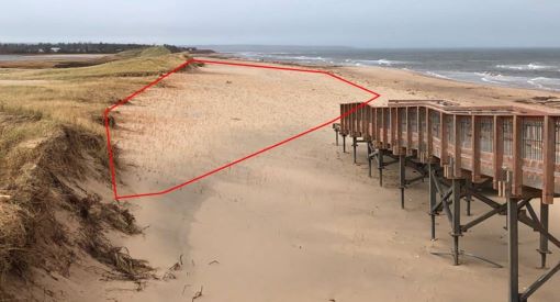 baby dune forming alongside beach access infrastructure.