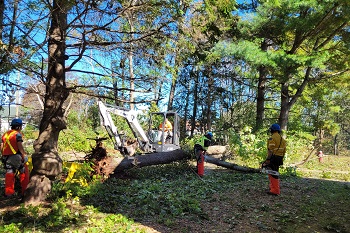 A crew clearing trees at Ardgowan National Historic Site following post-tropical storm Fiona. 