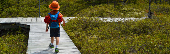 Photograph of a child's back walking on a wooden path in the peat