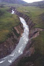 Lower Firth River Canyon