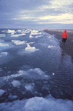 Beaufort Sea at Nunaluk Spit