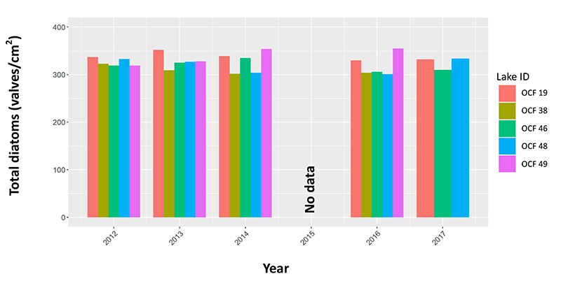 graph plotting 