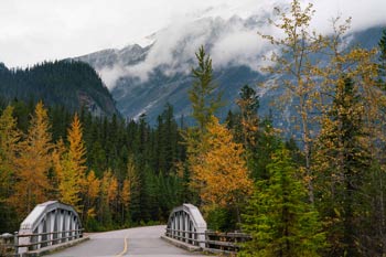 A view of Yoho Valley Road in Autumn.