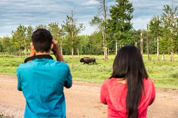 Two visitors watch plains bison.