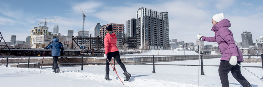Three adults cross-country ski along the Lachine Canal in Montreal.
