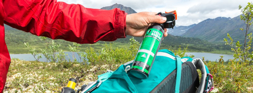 A person is holding a can of bear spray.