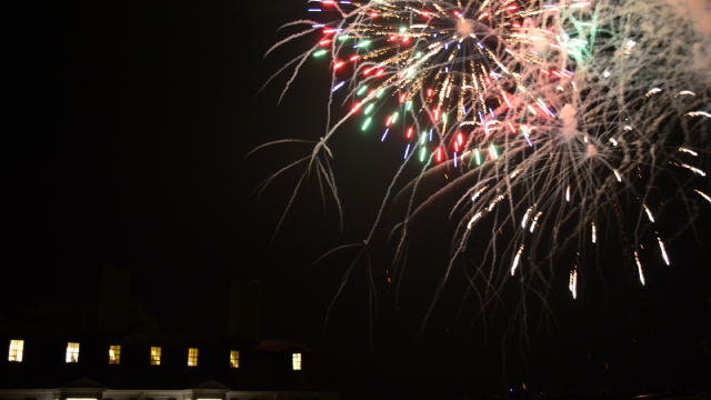 Red and green fireworks in the night sky. 