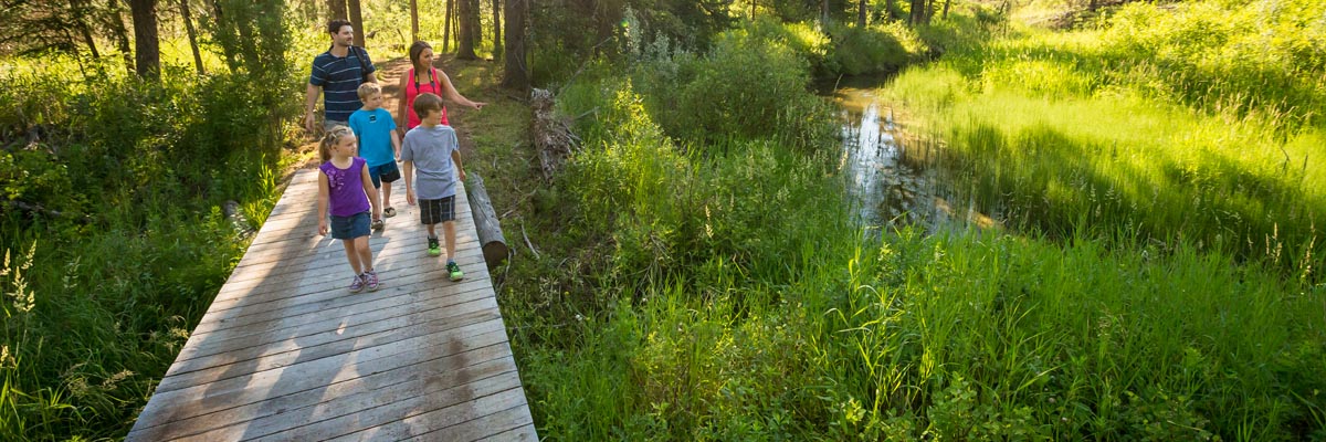 Family walking over a boardwalk in summer near Battle Creek.