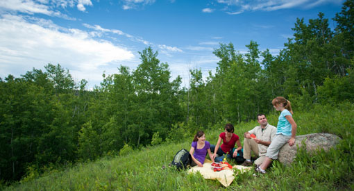 A family enjoying a picnic.