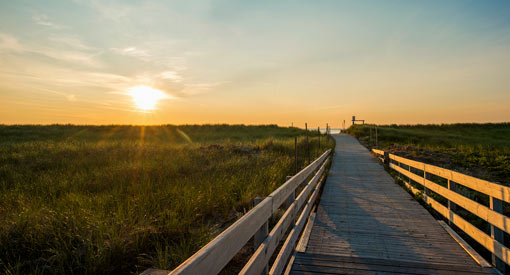 The Kellys Beach boardwalk trail.