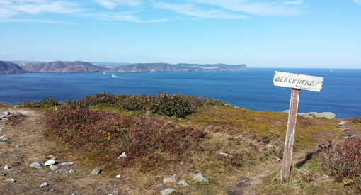 View of the sea from Blackhead Path.