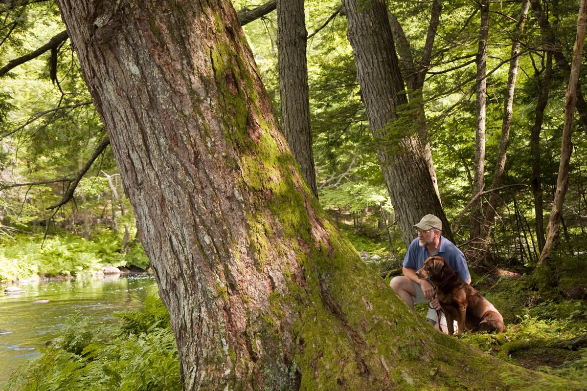A man and his dog on a trail in the forest.