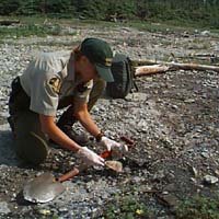 Park Warden gathering a sample of soil tainted by hydrocarbons